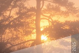 2025_Titelbild-Hausgebet